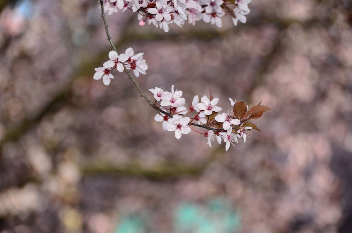 2014-03-28 16-20-41.JPG